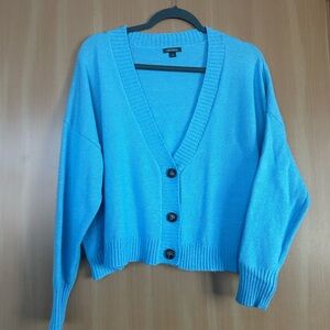 Blue V-Neck Button-Up Sweater